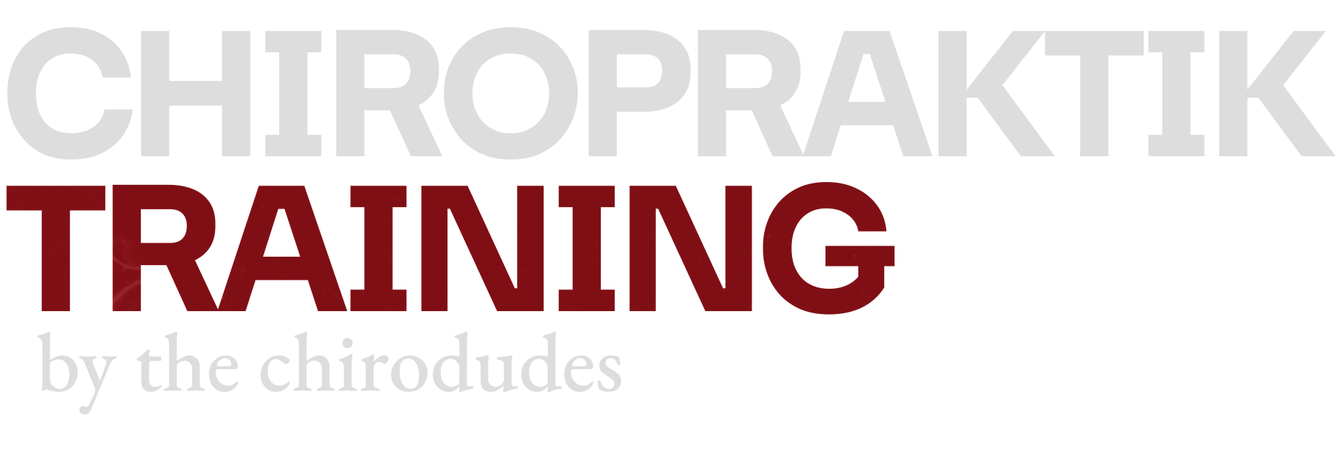 Chiropraktik Training by the Chirodudes